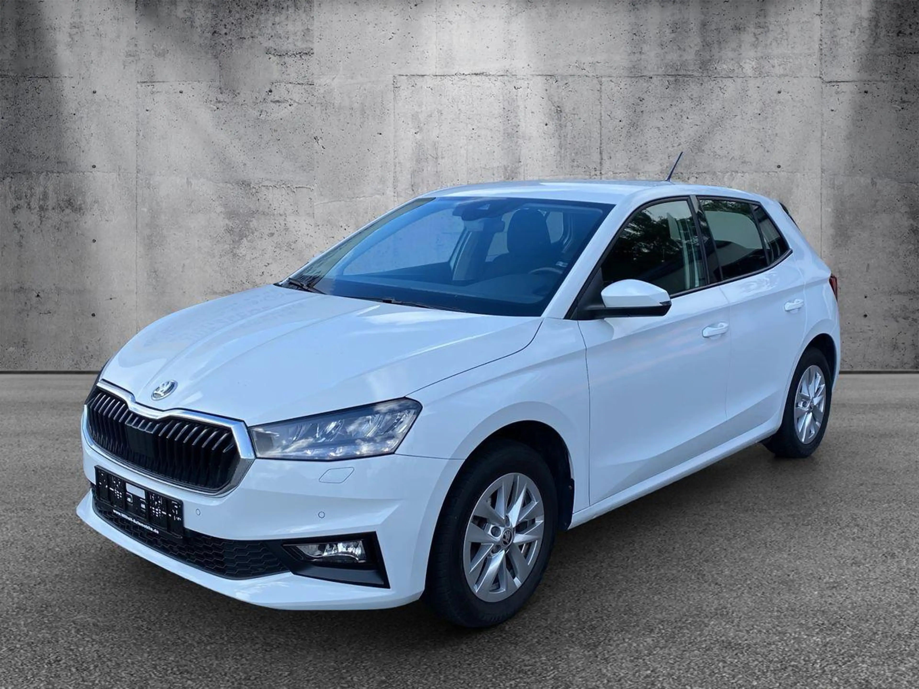 Skoda Fabia 1.0 TSI DSG R.Kamera/Klimaauto/ACC/Garantie