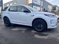 Land Rover Discovery Sport R-Dynamic Blanc - thumbnail 6