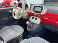 Fiat 500 Lounge   toit pano Rot - thumbnail 13