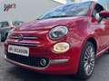 Fiat 500 Lounge   toit pano Rot - thumbnail 15