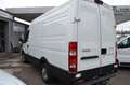 Iveco Daily Kasten *Anhängelast 3.5T,1Hand* Weiß - thumbnail 3
