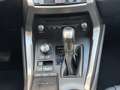 Lexus NX 300 300h Premium 2WD Gris - thumbnail 17