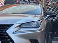 Lexus NX 300 300h Premium 2WD Gris - thumbnail 3