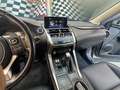 Lexus NX 300 300h Premium 2WD Gris - thumbnail 34