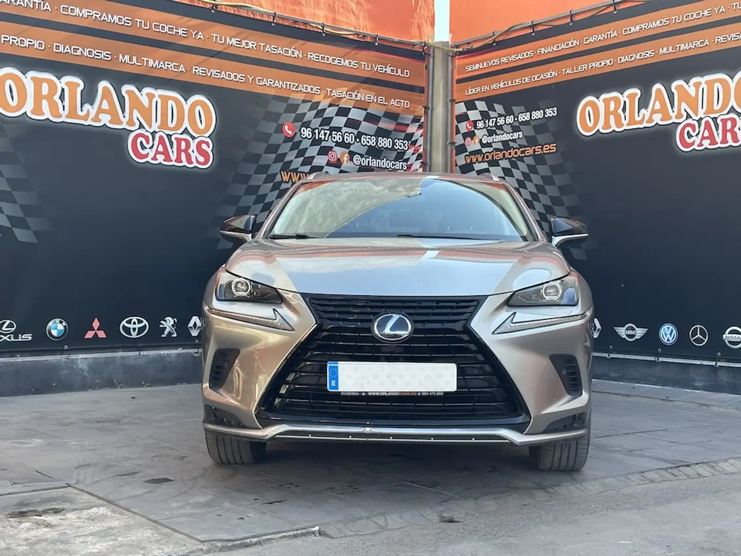 Lexus NX 300 300h Premium 2WD Gris - 2