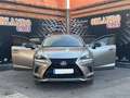 Lexus NX 300 300h Premium 2WD Gris - thumbnail 4