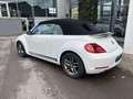 Volkswagen Beetle Sport Blanc - thumbnail 7