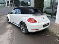Volkswagen Beetle Sport Blanc - thumbnail 8
