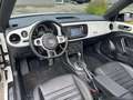 Volkswagen Beetle Sport Blanc - thumbnail 9