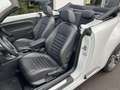 Volkswagen Beetle Sport Blanc - thumbnail 10
