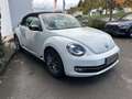 Volkswagen Beetle Sport Blanc - thumbnail 6