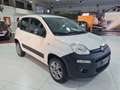 Fiat Panda New 4x4 1.3MJT 80CV Van 2 Posti *IMPECCABILE* Bianco - thumbnail 3