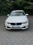 BMW 420 420d Cabrio Aut. - thumbnail 15