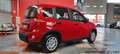 Fiat Panda PANDA 1.0 HYBRID CON ADAS DA € 9.950  CON ROTTAMA - thumbnail 5