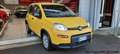 Fiat Panda PANDA 1.0 HYBRID CON ADAS DA € 9.950  CON ROTTAMA - thumbnail 4