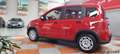 Fiat Panda PANDA 1.0 HYBRID CON ADAS DA € 9.950  CON ROTTAMA - thumbnail 6