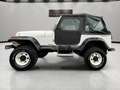 Jeep Wrangler YJ 2.5 - thumbnail 4