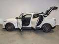 Ford Mustang Mach-E BEV 99KWH 487PS GT EXTENDED RANGE 487 5P Blanco - thumbnail 15