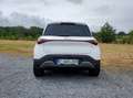 smart #1 66 kWh Premium warmte pomp, Beats audio, HUD,**** Blanc - thumbnail 5