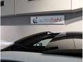 Volkswagen Golf VIII 1.5 eTSI DSG Edition 50 *AHK*PANO Wit - thumbnail 9