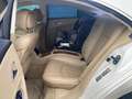 Mercedes-Benz CLS 500 CLS 500 AMG Styling Memory 4-Sitzer beschädigt Bílá - thumbnail 10