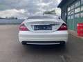 Mercedes-Benz CLS 500 CLS 500 AMG Styling Memory 4-Sitzer beschädigt Blanco - thumbnail 5