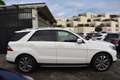 Mercedes-Benz ML 250 Classe M 4matic Cambio Aut. Blanco - thumbnail 6