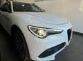 Alfa Romeo Stelvio Stelvio 2017 2.2 t Super Q4 210cv auto my19 Bianco - thumbnail 2