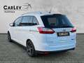 Ford Grand C-Max Champions Edition Zahnriemen neu PDC Blanco - thumbnail 5