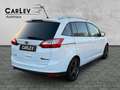 Ford Grand C-Max Champions Edition Zahnriemen neu PDC Blanco - thumbnail 7