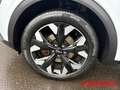 Kia Sportage 1.6 T-GDI Plug-in Hybrid 4WD NAVI KAMERA TEMPOMAT Bílá - thumbnail 14