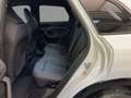 Audi Q5 SUV TDI quattro 150 kW S tronic Weiß - thumbnail 11