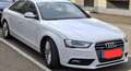 Audi A4 A4 2,0 TDI quattro Sport DPF S-tronic Sport Weiß - thumbnail 5