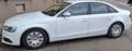 Audi A4 A4 2,0 TDI quattro Sport DPF S-tronic Sport Weiß - thumbnail 2