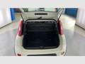 Fiat Panda 1.0 Gse City Live Hybrid Blanco - thumbnail 14