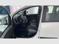 Fiat Panda 1.0 Gse City Live Hybrid Blanco - thumbnail 12