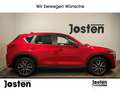 Mazda CX-5 Exclusive-Line 2WD NAVI AHK LED HUD RFK SITZHZG Rot - thumbnail 2