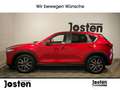 Mazda CX-5 Exclusive-Line 2WD NAVI AHK LED HUD RFK SITZHZG Rot - thumbnail 4