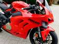 Ducati Panigale V4 2000 km , 1 an de garantie Rojo - thumbnail 9
