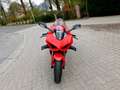 Ducati Panigale V4 2000 km , 1 an de garantie Rojo - thumbnail 8