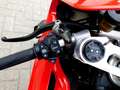 Ducati Panigale V4 2000 km , 1 an de garantie Rojo - thumbnail 12
