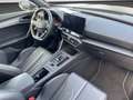 CUPRA Formentor 2,0 TSI VZ DSG LED/NAVI/Panoramadach/S Grau - thumbnail 3