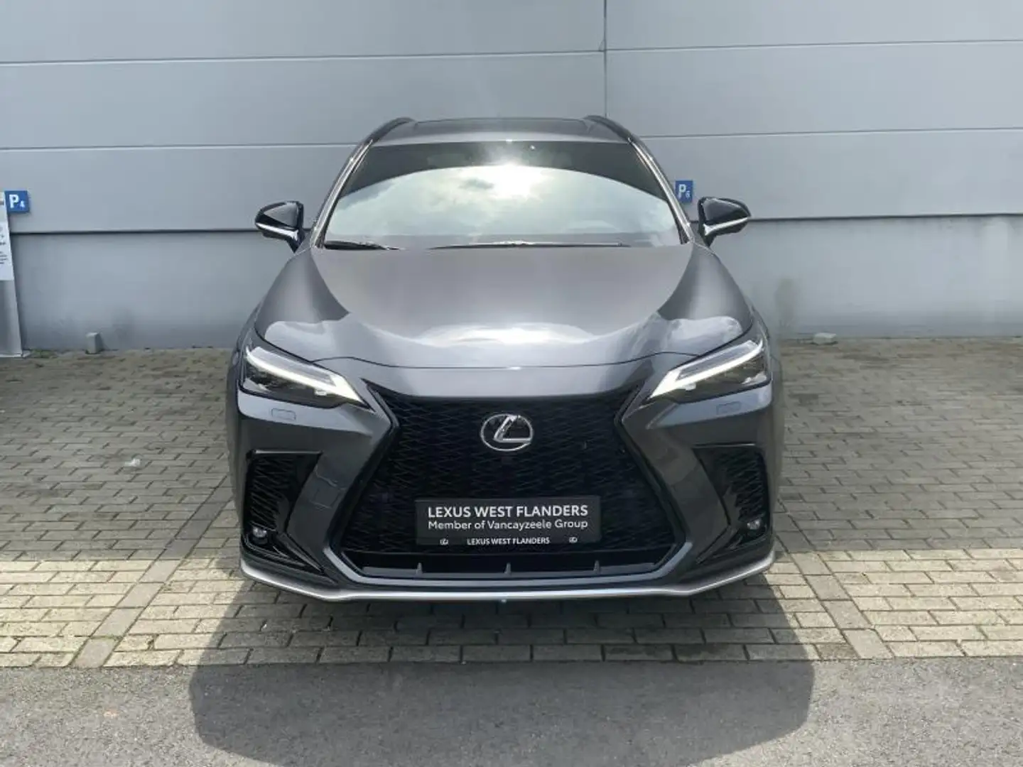 Lexus NX 450h+ F SPORT Line+360° camera+navi+ Szürke - 2