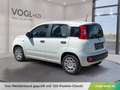 Fiat Panda Hybrid Icon Weiß - thumbnail 3
