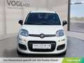 Fiat Panda Hybrid Icon Weiß - thumbnail 6