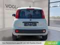 Fiat Panda Hybrid Icon Weiß - thumbnail 7