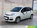 Fiat Panda Hybrid Icon Weiß - thumbnail 1