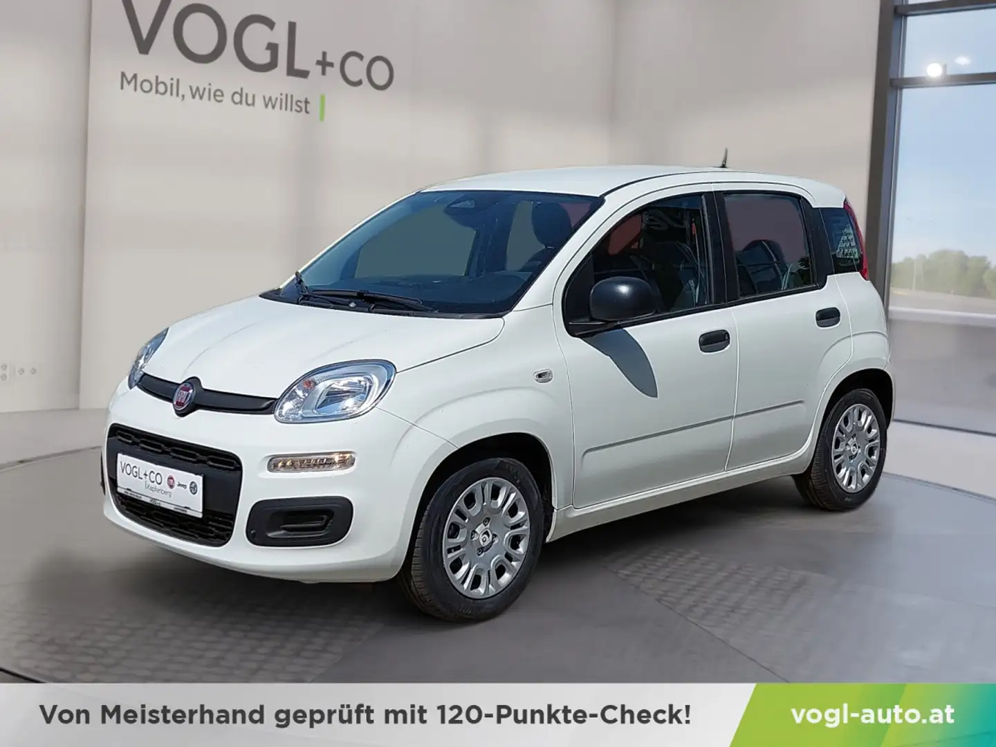 Fiat Panda Hybrid Icon Weiß - 1