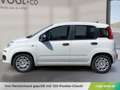 Fiat Panda Hybrid Icon Weiß - thumbnail 2