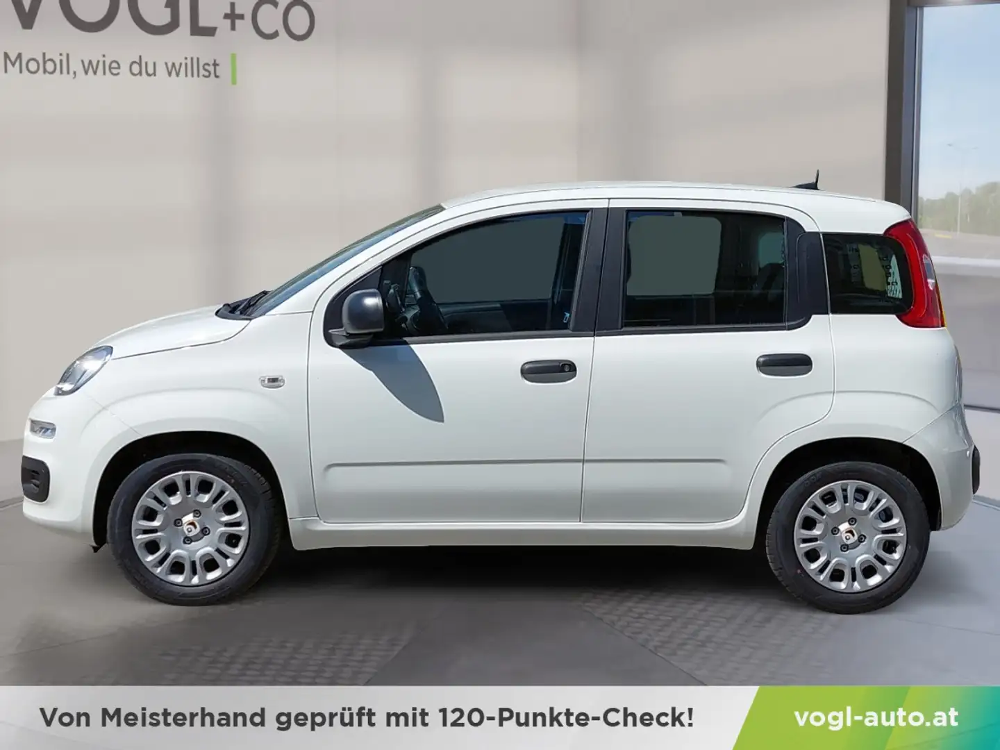 Fiat Panda Hybrid Icon Weiß - 2